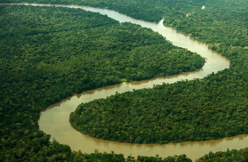 Fapespa divulga oportunidade de chamada com a British Council e Iniciativa Amazônia+10