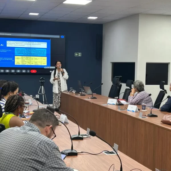 Pará avança no caminho para certificação de créditos de carbono em padrão internacional