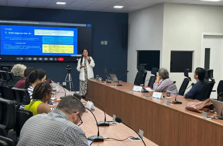 Pará avança no caminho para certificação de créditos de carbono em padrão internacional