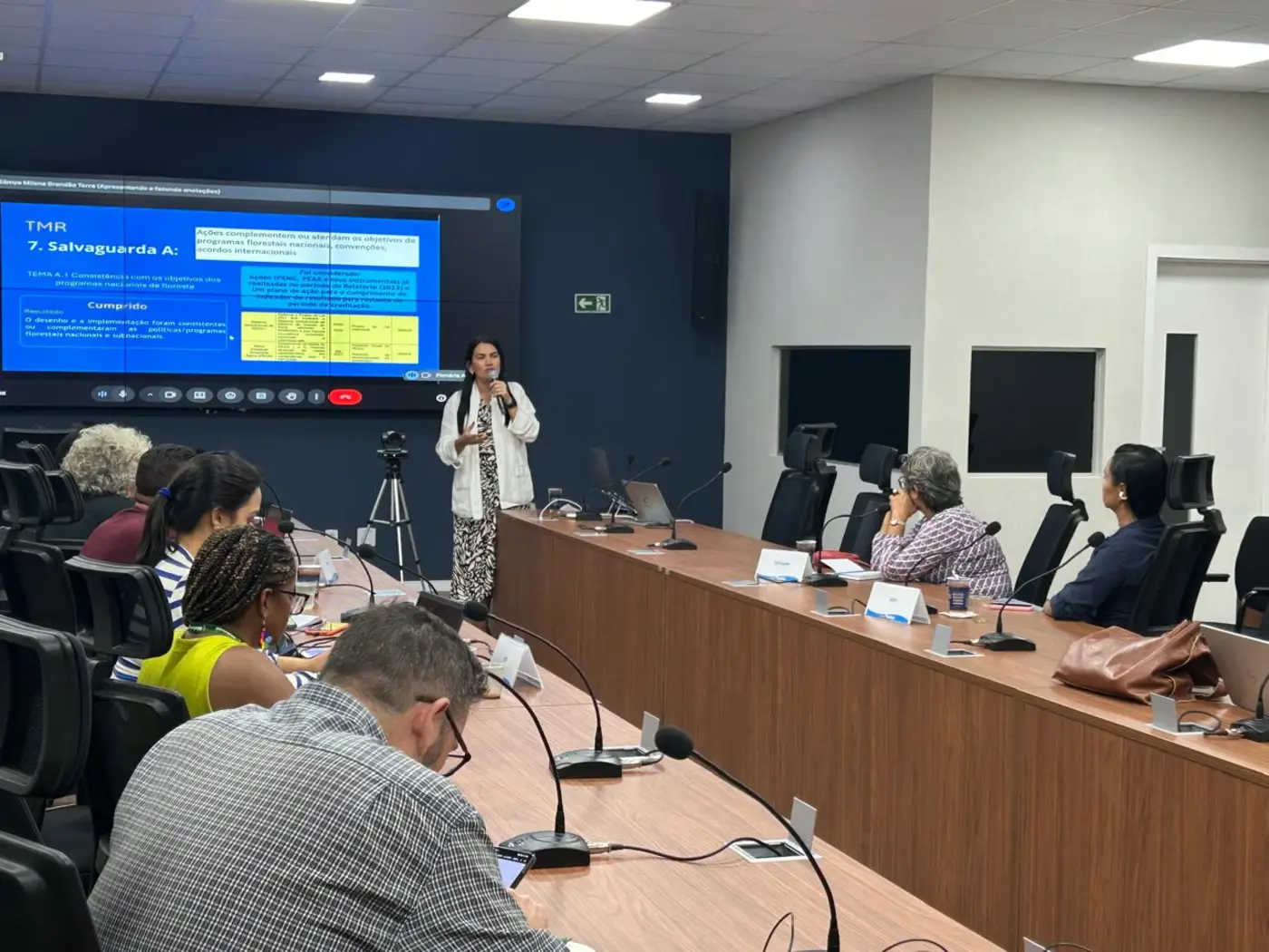 Pará avança no caminho para certificação de créditos de carbono em padrão internacional