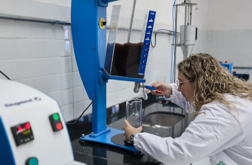 Pesquisa e inovação impulsionam desenvolvimento sustentável no Pará