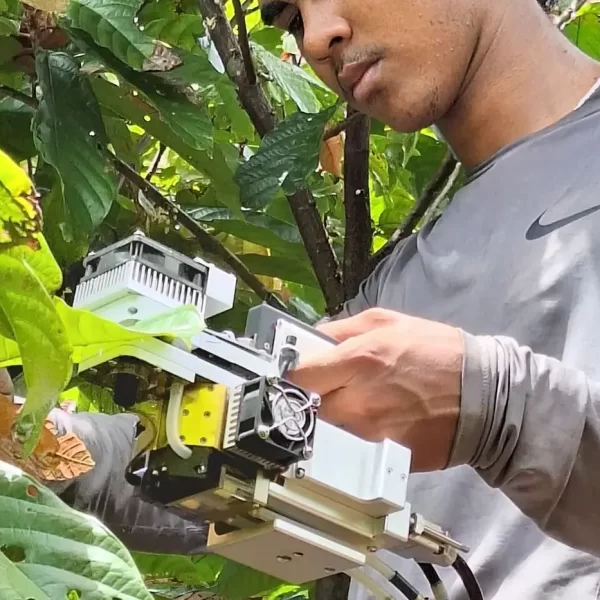 Projeto estuda a viabilidade econômica e impactos da irrigação e da agricultura de sequeiro no plantio do cacau amazônico