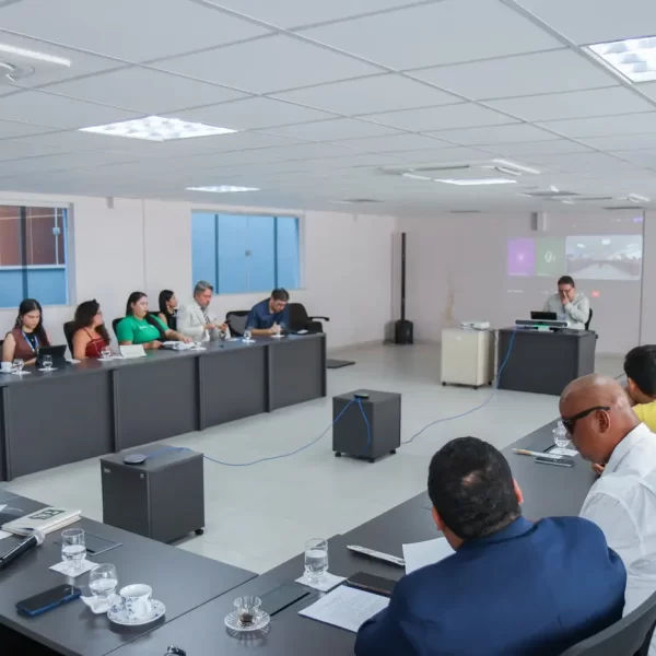 Seplad realiza reunião da Comissão Estadual para os Objetivos de Desenvolvimento Sustentável do Estado do Pará (CEODSPA)