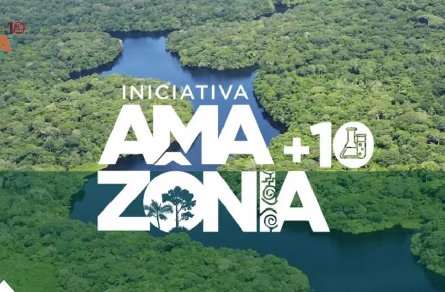 Iniciativa Amazônia+10: resultados garantem protagonismo de pesquisadores amazônidas em prol do desenvolvimento científico