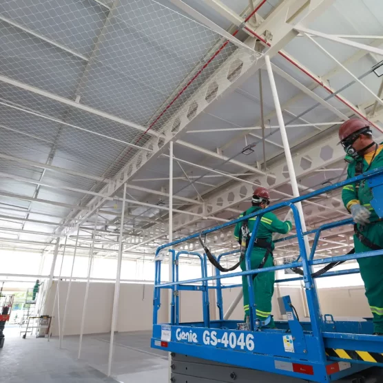 PIB do Pará cresce 7,85% no terceiro trimestre de 2025 e supera média nacional