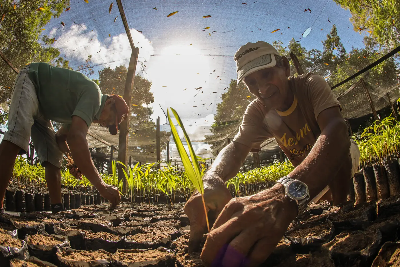 Bioeconomia movimenta R$ 13,5 bilhões e reforça papel da sociobiodiversidade na economia do Pará