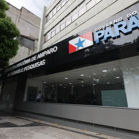 Fapespa divulga workshop virtual para orientar mulheres cientistas sobre a chamada pública nº 003/2026