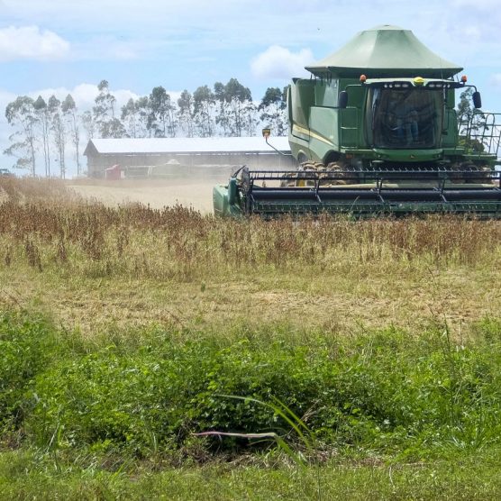 PIB do Pará cresce acima da média nacional no quarto trimestre de 2025