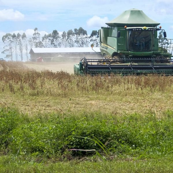 PIB do Pará cresce acima da média nacional no quarto trimestre de 2025