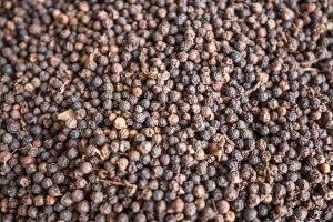 Pará segue como segundo maior produtor nacional de pimenta-do-reino
