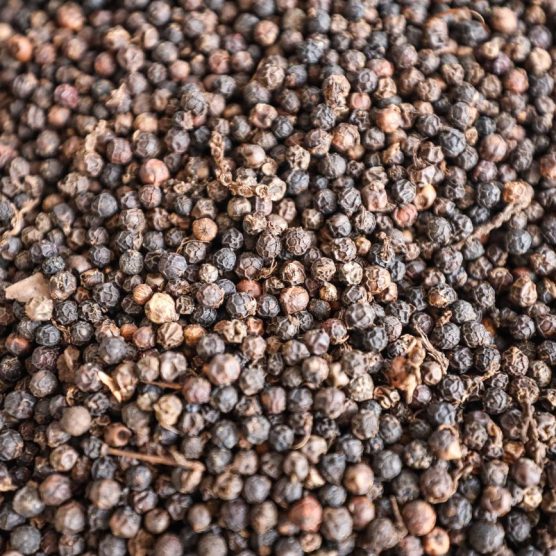 Pará segue como segundo maior produtor nacional de pimenta-do-reino