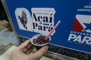 Sedap realiza festivais em junho para estimular cadeias do cacau e do açaí