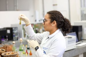 Fapespa integra chamada internacional para financiar pesquisas sobre biodiversidade e ecossistemas emergentes