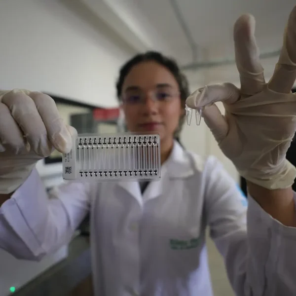 Pará faz chamada pública para fixar talentos científicos