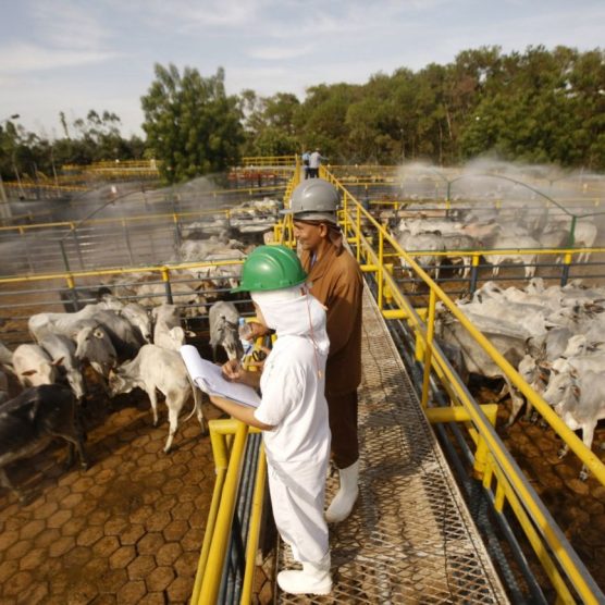 PIB do Pará tem desempenho superior ao nacional no segundo trimestre