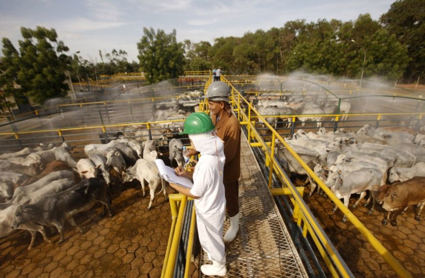 PIB do Pará tem desempenho superior ao nacional no segundo trimestre
