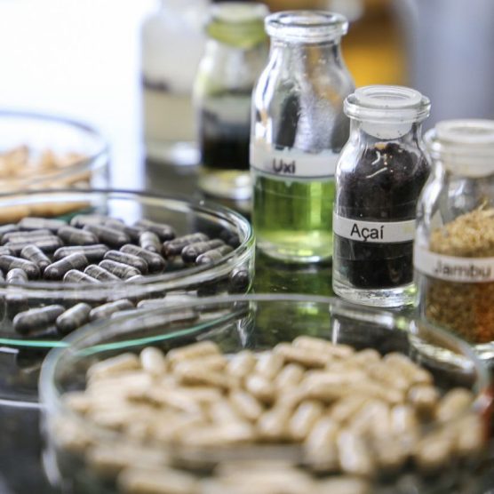 Fapespa e Fundação Araucária realizam workshop para impulsionar cooperação em bioeconomia