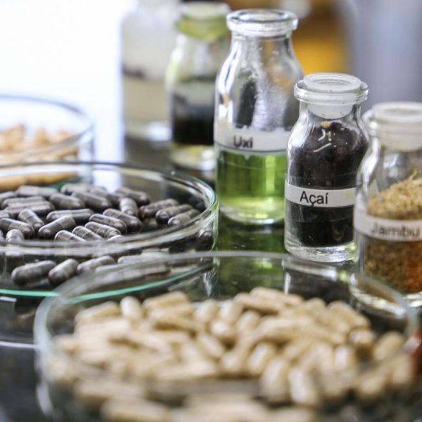 Fapespa e Fundação Araucária realizam workshop para impulsionar cooperação em bioeconomia