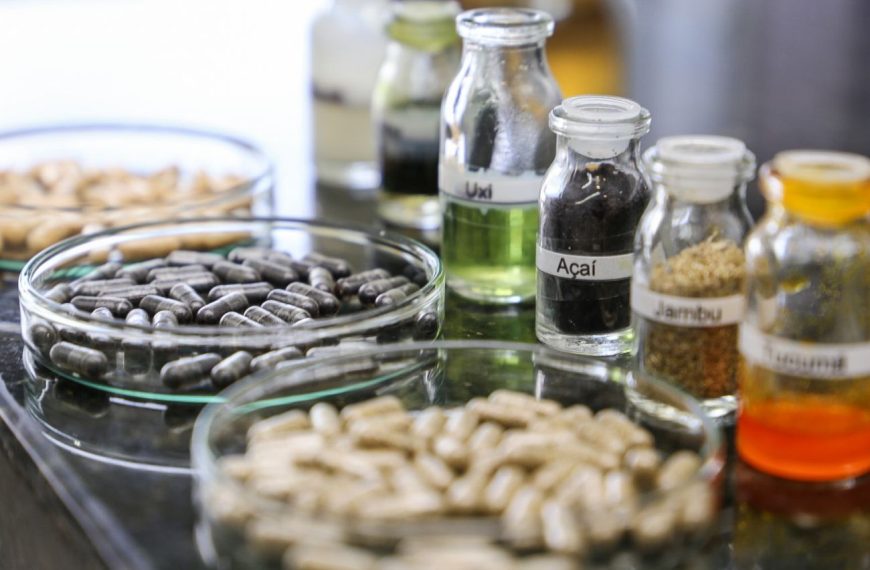Fapespa e Fundação Araucária realizam workshop para impulsionar cooperação em bioeconomia