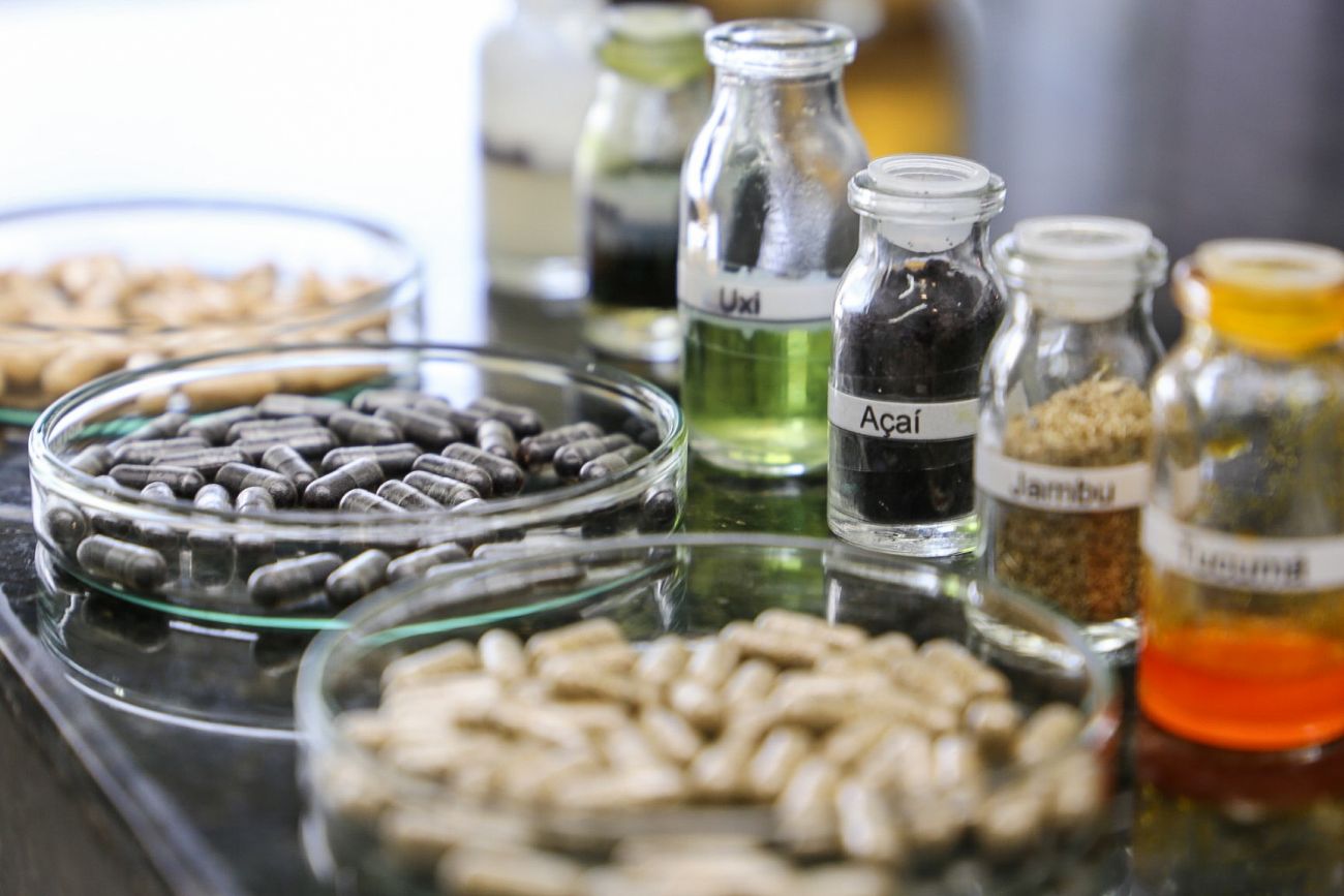 Fapespa e Fundação Araucária realizam workshop para impulsionar cooperação em bioeconomia