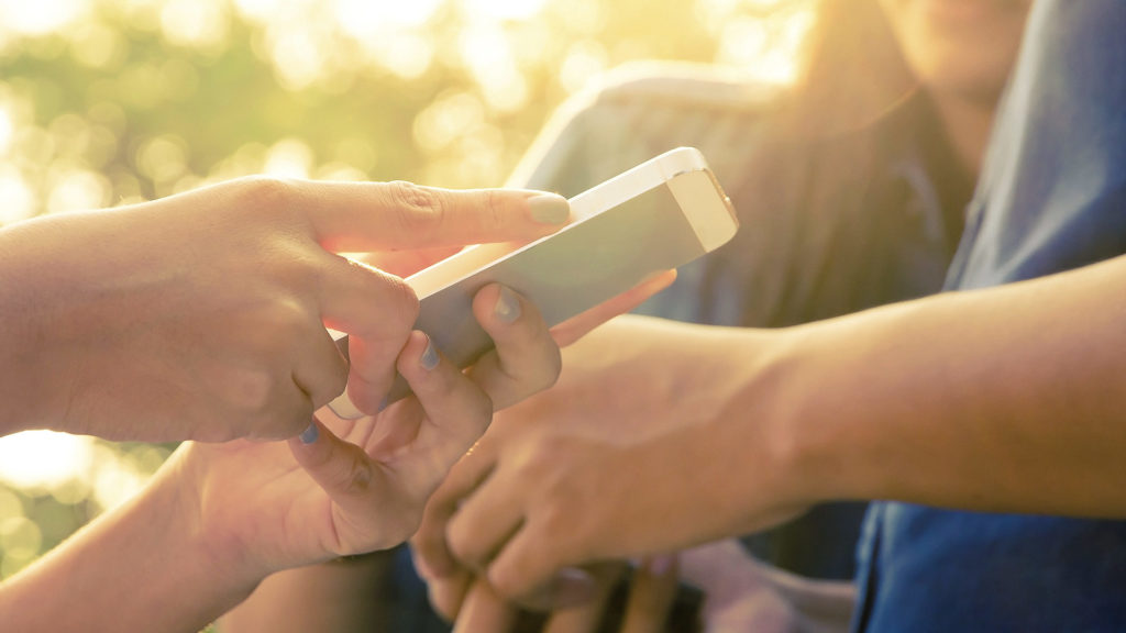 Fapespa lança edital para fortalecer a Bioeconomia no Pará