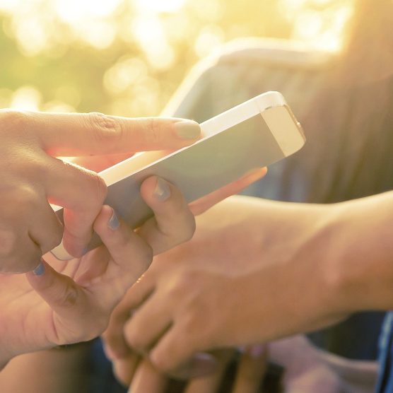 Fapespa lança edital para fortalecer a Bioeconomia no Pará